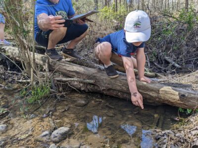 A Walk In the Woods With Dad Image